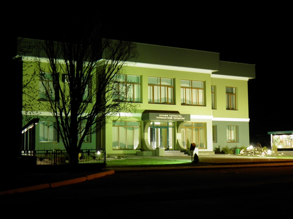 Baum licht die architektur straße