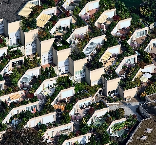 Ağaç şehir manzarası merkezi
 Fotoğraf