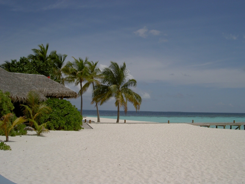 Plage mer côte sable