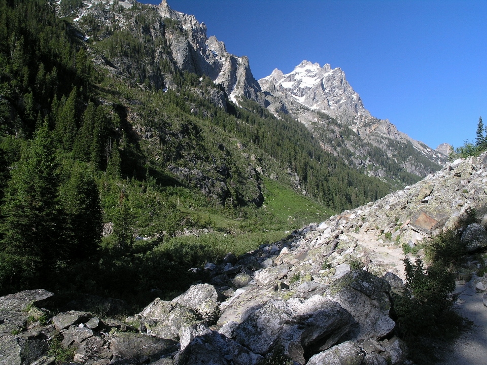 Nature forêt région sauvage
 marche