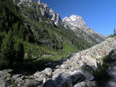 Nature forest wilderness walking Photo