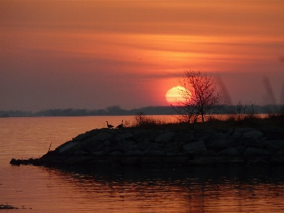 Landscape sea nature outdoor Photo