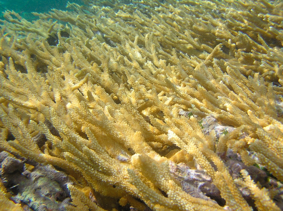 Laut air lantai bawah