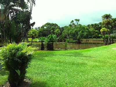 Landscape tree water nature Photo