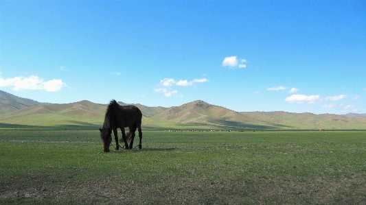 Landscape grass mountain sky Photo