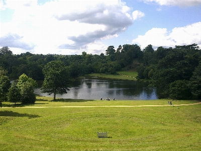 Landscape water nature grass Photo