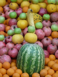 Apple plant fruit food Photo