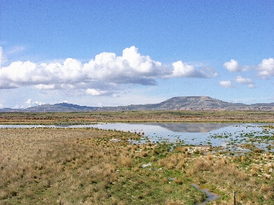 Landscape sea coast nature Photo