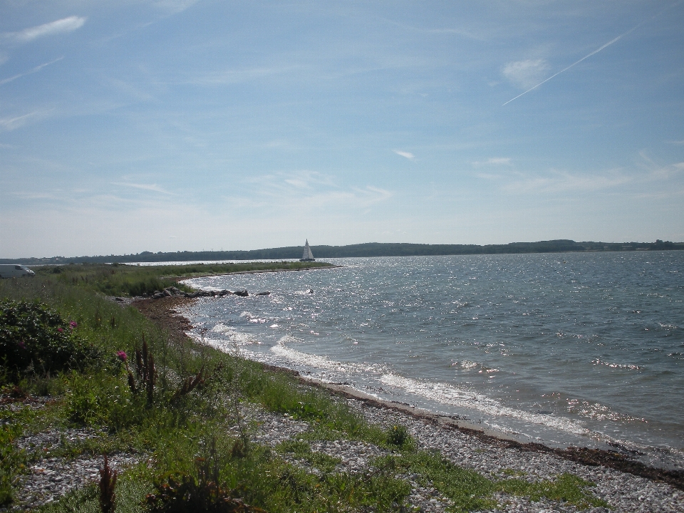 Beach sea coast water