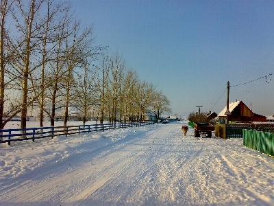 Nature snow winter sky Photo