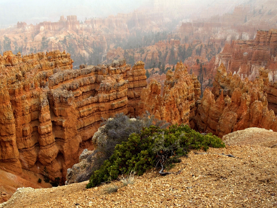 Krajobraz natura rock pustynia
