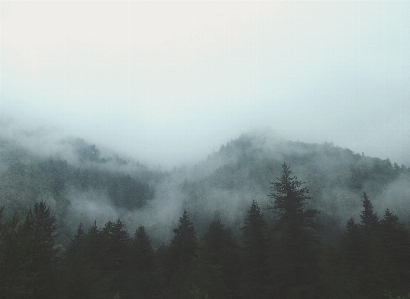 木 森 山 雪 写真