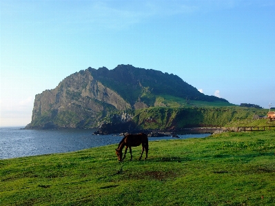 Landscape sea coast nature Photo