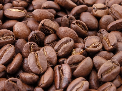 コーヒー 香り 食べ物 生産 写真