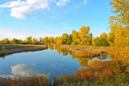 Landscape tree water nature Photo