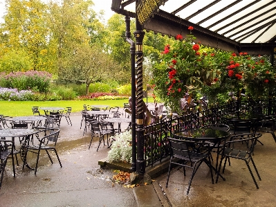 Table nature outdoor cafe Photo