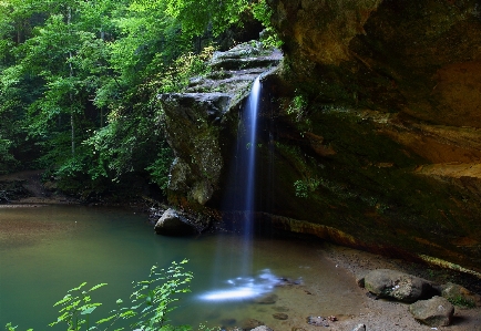 Tree water nature forest Photo