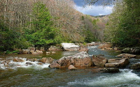 Landscape water nature forest Photo