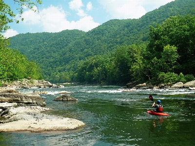 Landscape water nature forest Photo