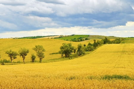 Landscape nature grass horizon Photo