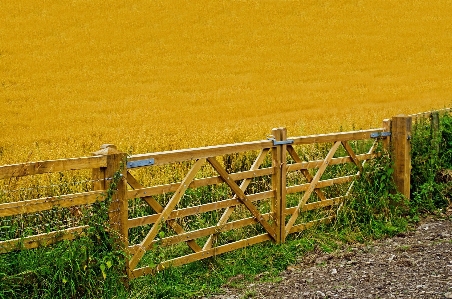 Landscape grass fence wood Photo