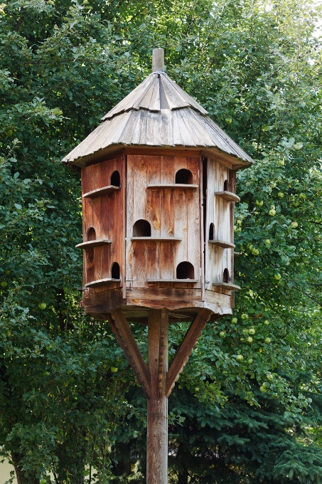 Holz haus heim ländlich