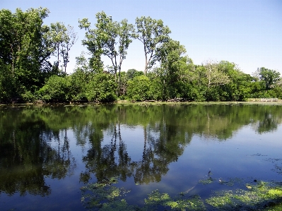 Landscape tree water nature Photo