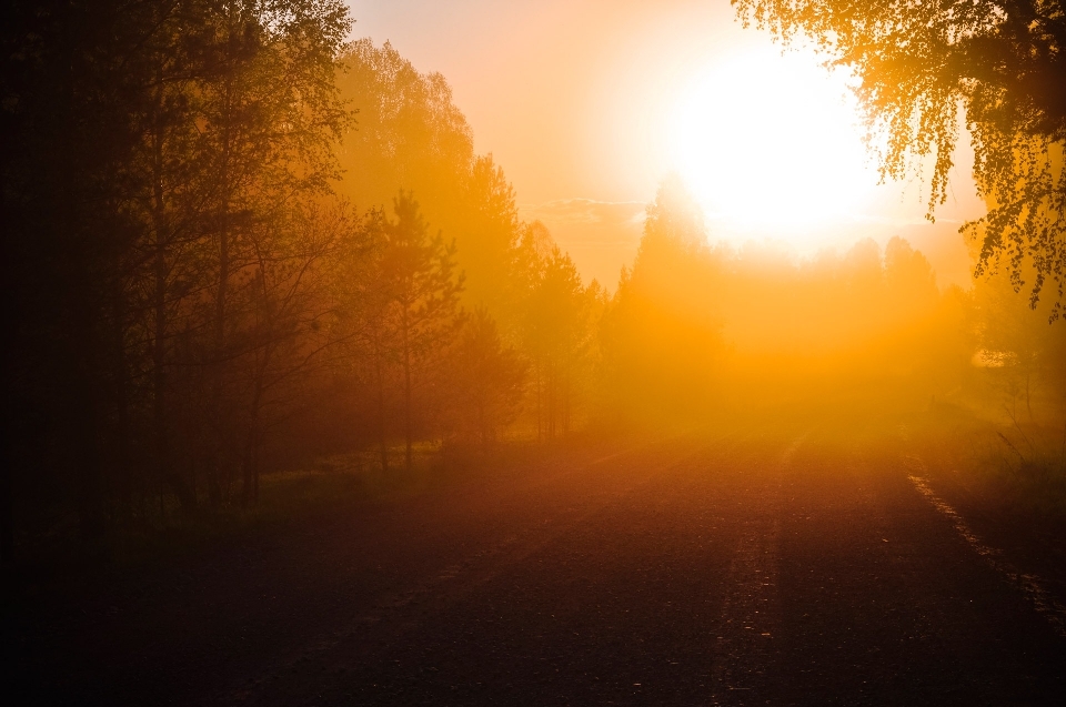 Landschaft natur silhouette licht