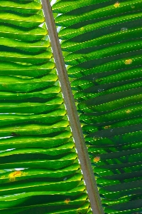 Nature grass light structure Photo