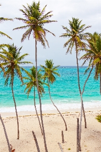 Beach landscape sea coast Photo