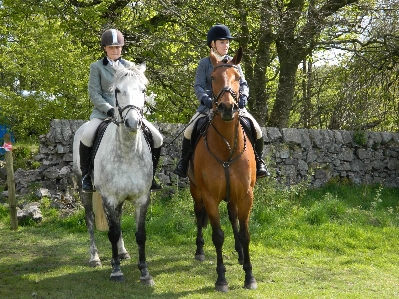 Foto Ricreazione saltando cavaliere pascolo
