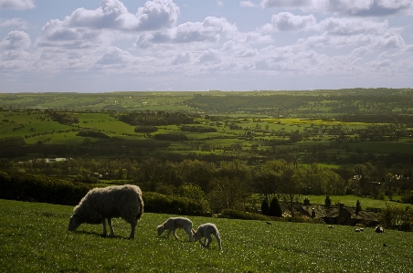 Landscape nature grass mountain Photo