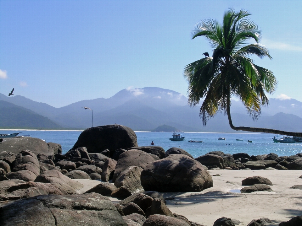 Strand landschaft meer küste