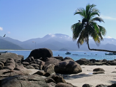 海滩 景观 海 海岸 照片