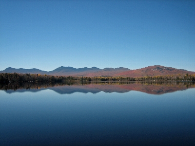 Sea water nature forest Photo