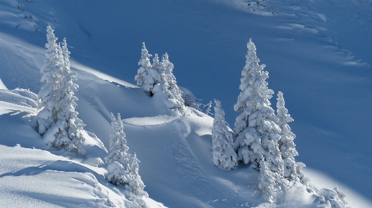 Mountain snow cold winter Photo