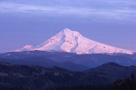 Landscape nature forest wilderness Photo