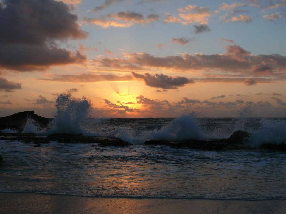 Beach sea coast nature