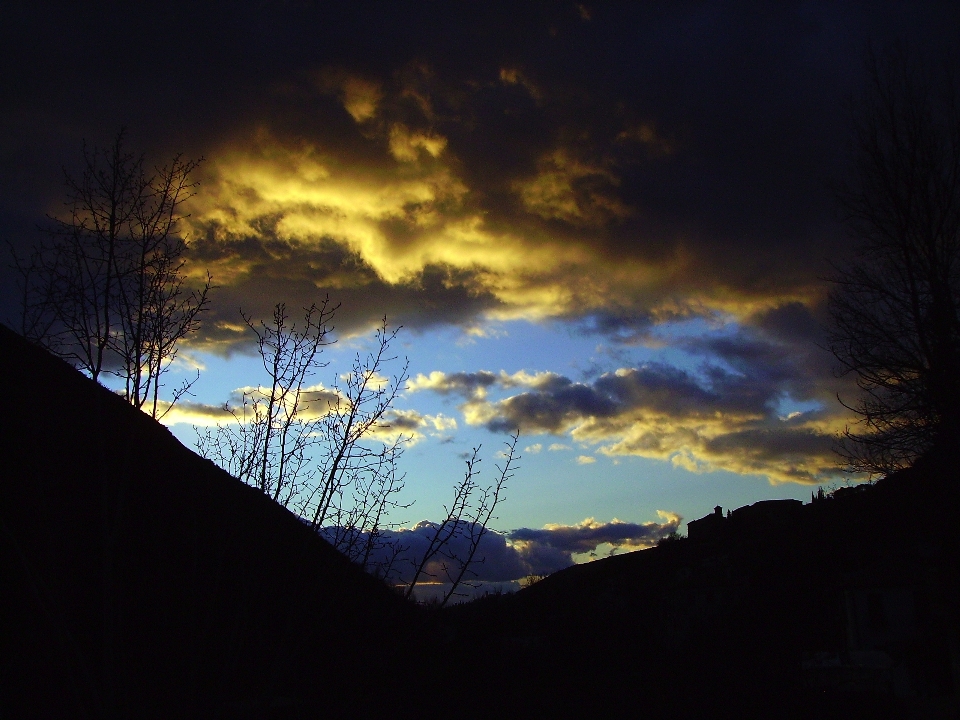 Arbre nature montagne lumière