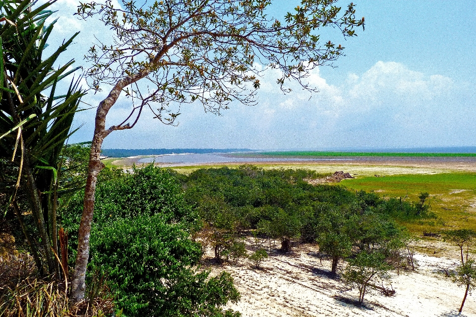 海滩 景观 海 海岸