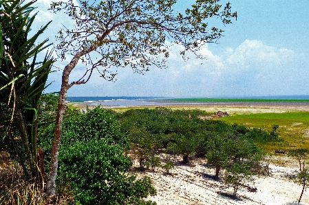 Beach landscape sea coast Photo