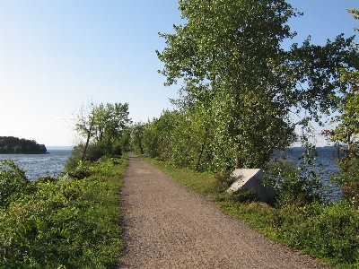 Beach landscape coast tree Photo