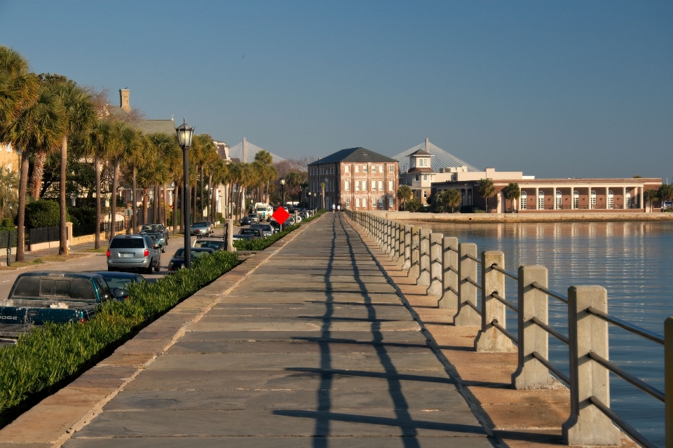 水 遊歩道 歩道
 街