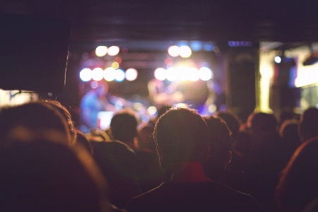 Musik licht menge konzert Foto