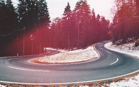 Baum schnee winter straße Foto