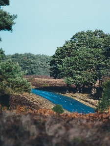 Beach landscape sea coast Photo