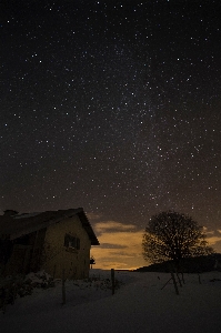 Foto árvore silhueta céu noite