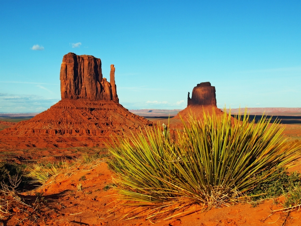 Paisaje arena rock desierto
