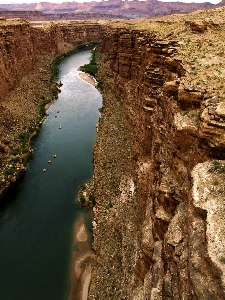 Manzara deniz sahil ağaç Fotoğraf