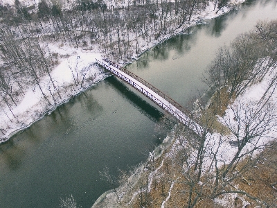 Tree water cold bridge Photo